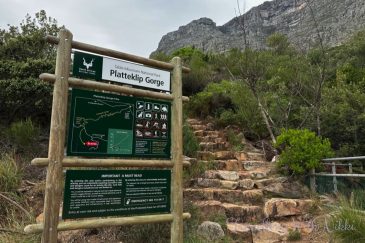 A trailhead sign indicating the start of Platteklip Gorge with detailed route information and a steep rocky pathway ascending through greenery toward the mountainous terrain of Table Mountain.