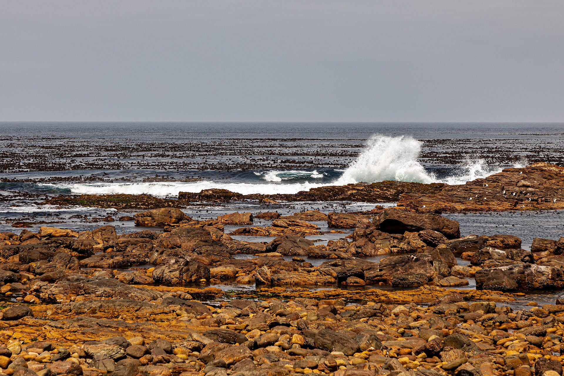 Cape of Good Hope, Cape Peninsula National Park
