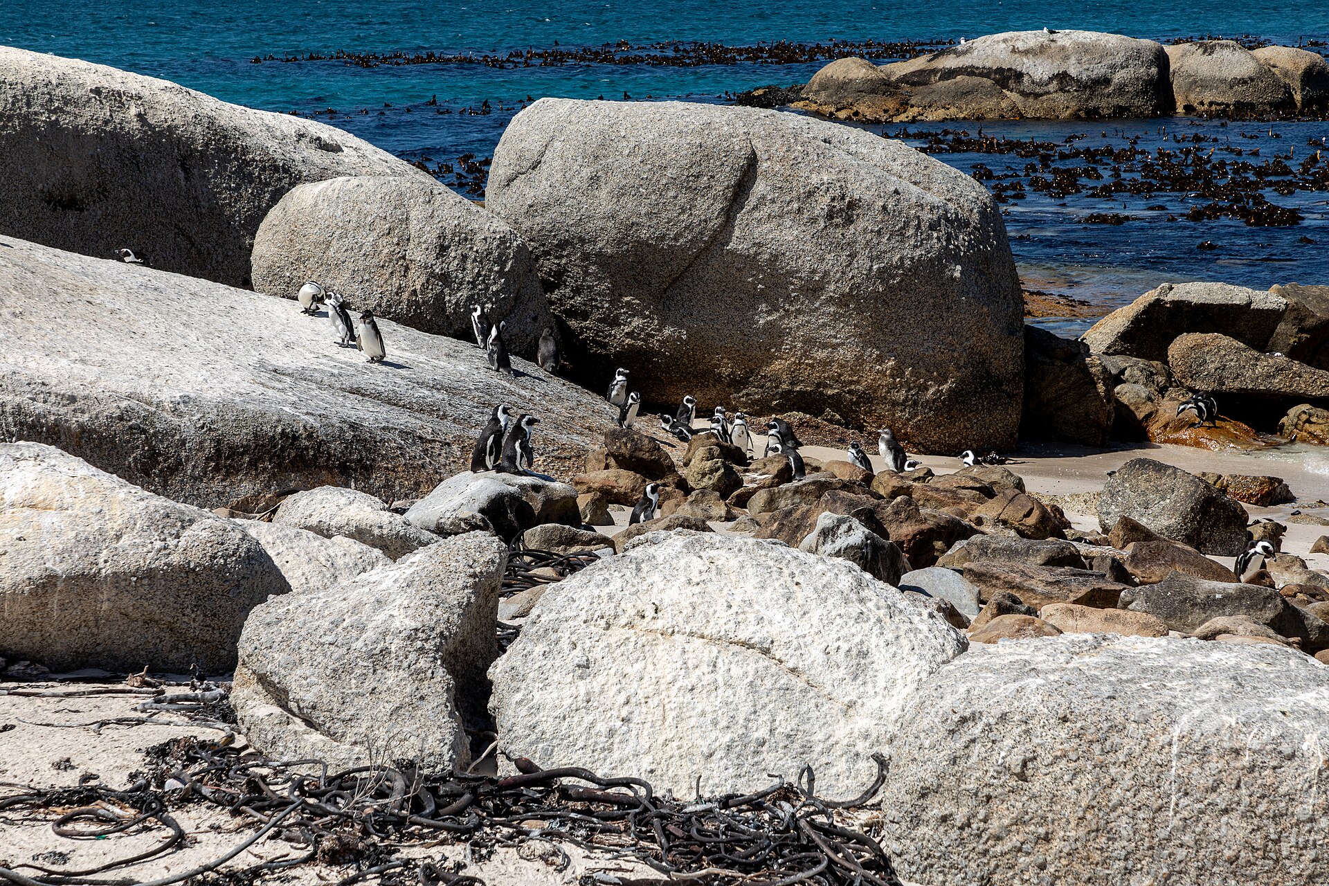 Fun Things for Kids to Do When Visiting Cape Town
