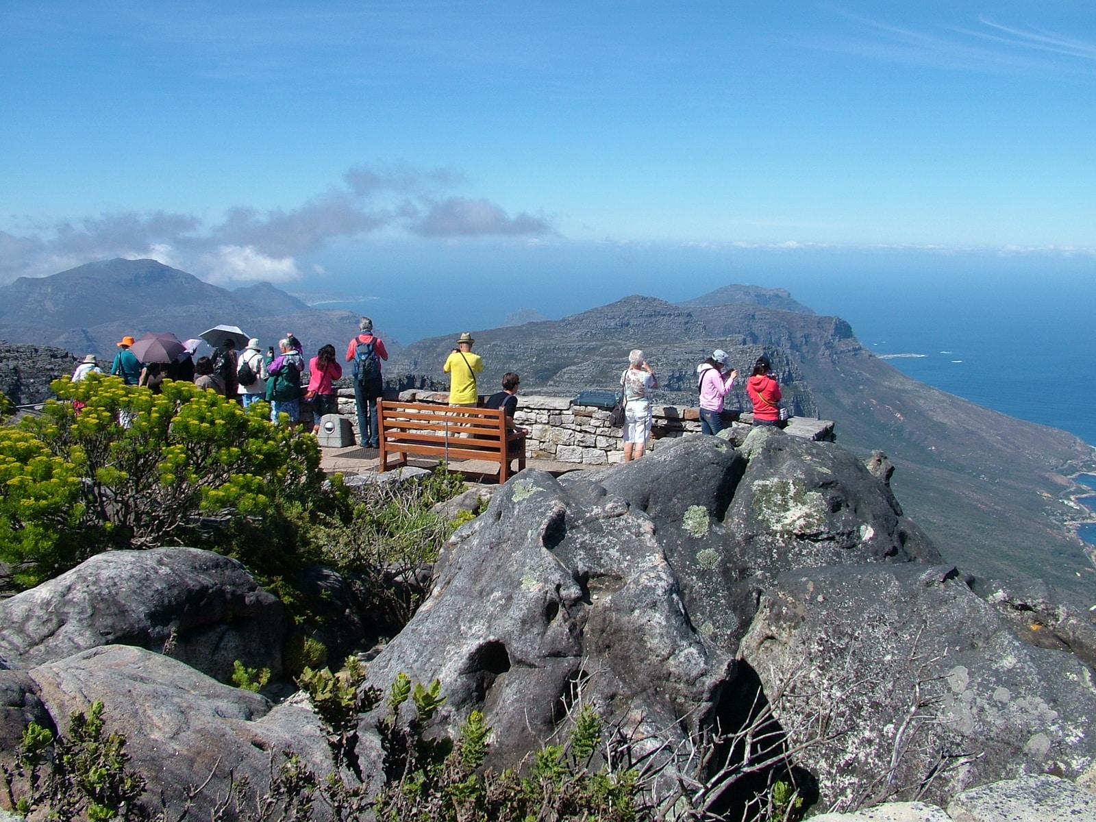 Spotter’s Guide to Table Mountain Wildlife and Fynbos
