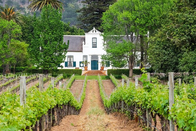 Top 10 Wine Estates in Cape Town's Wine Region