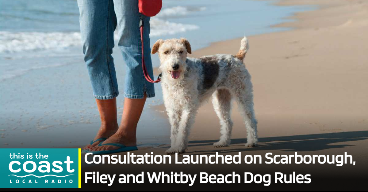 Dog‑Friendly Beach Day at Scarborough: Rules, Facilities and Local Tips