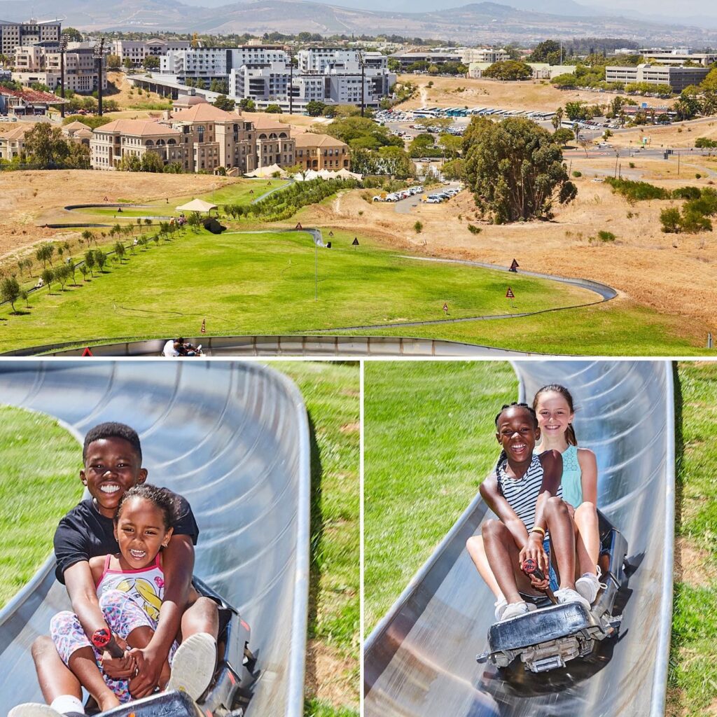 Cape Town with Kids: Cool Runnings Toboggan + Bugz in One Fun Day