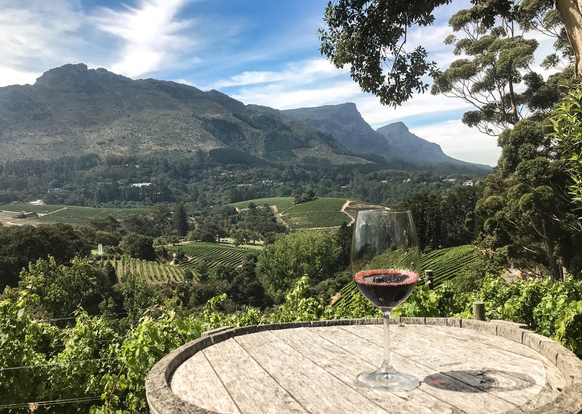 Constantia vs Lourensford: Which Wine Estate Fits Your Day Out?