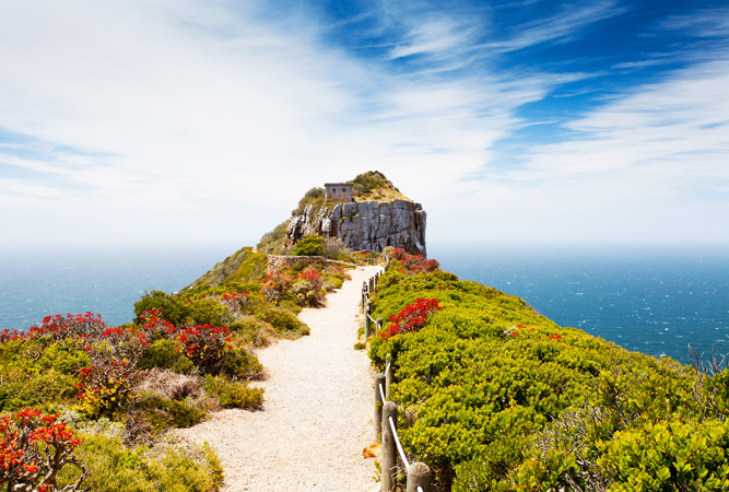 Cape of Good Hope Overnight Trail: Permits, Huts and a Two-Day Coastal Route