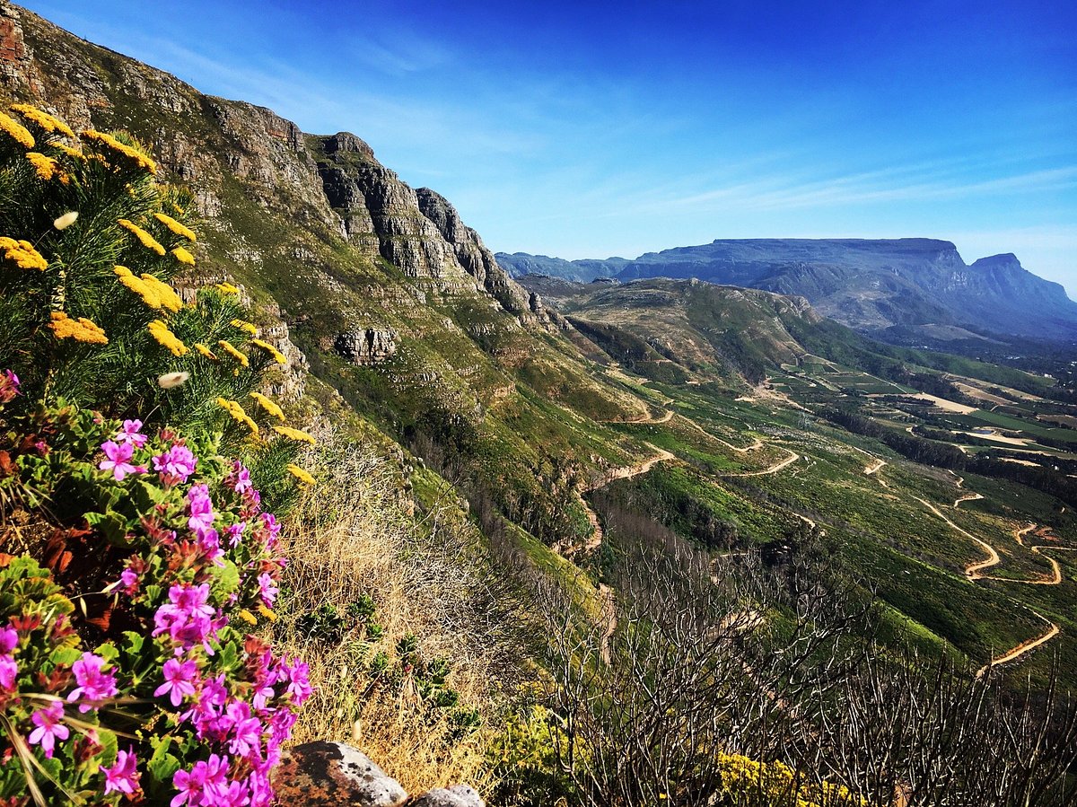 Silvermine Nature Reserve Made Easy: Picnics, Braais and Gentle Hikes