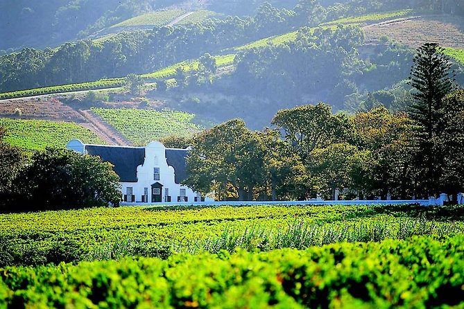 Half‑Day Winelands Close to Cape Town: Groot Constantia and Klein Roosboom